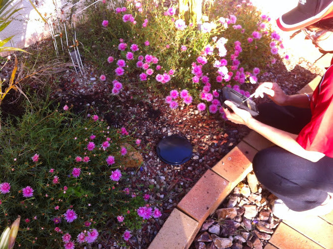 Redknight Termite and Pest Control Melbourne in Bacchus Marsh