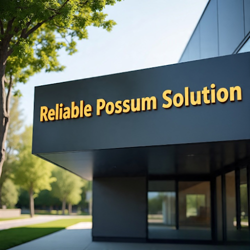 Reliable Possum Solution Bentleigh in Bentleigh
