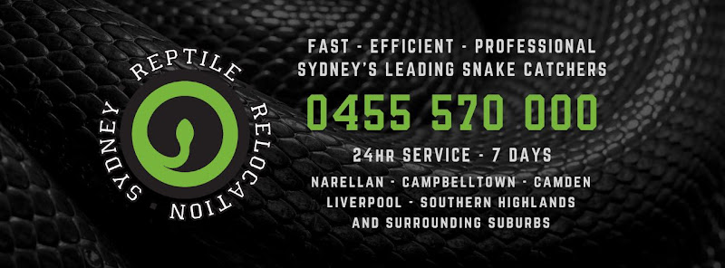 Reptile Relocation Sydney in Narellan