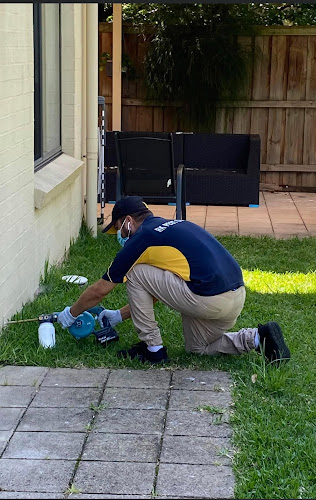 RK Pest Control and Removal Services in Campsie