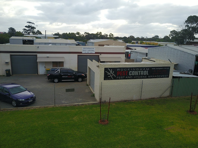 Rockypest in Rockingham