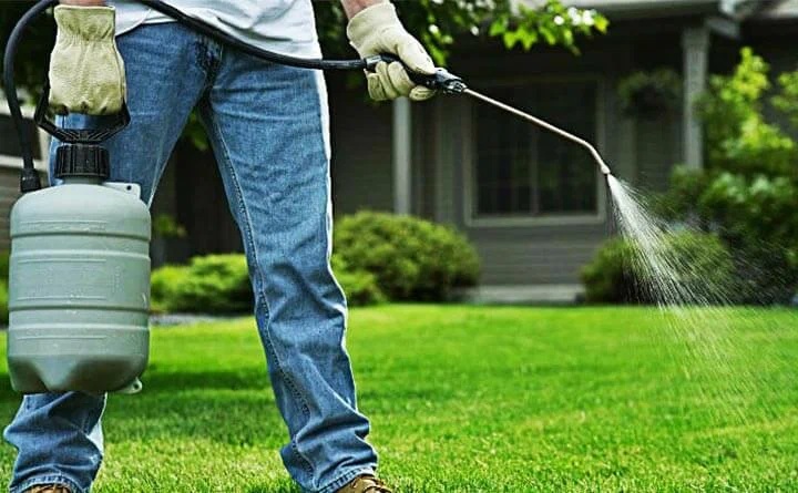 Rose Pest Control Service in Healesville