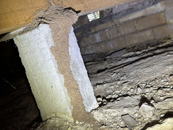 RTM Pest Management in Albury