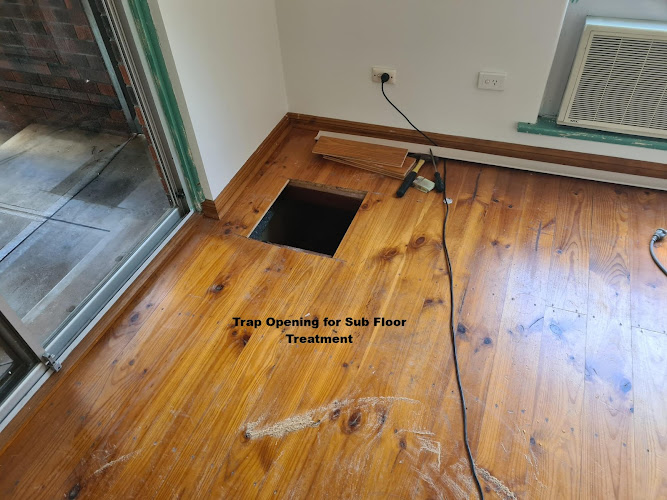 Russell's Pest Control in Broadview