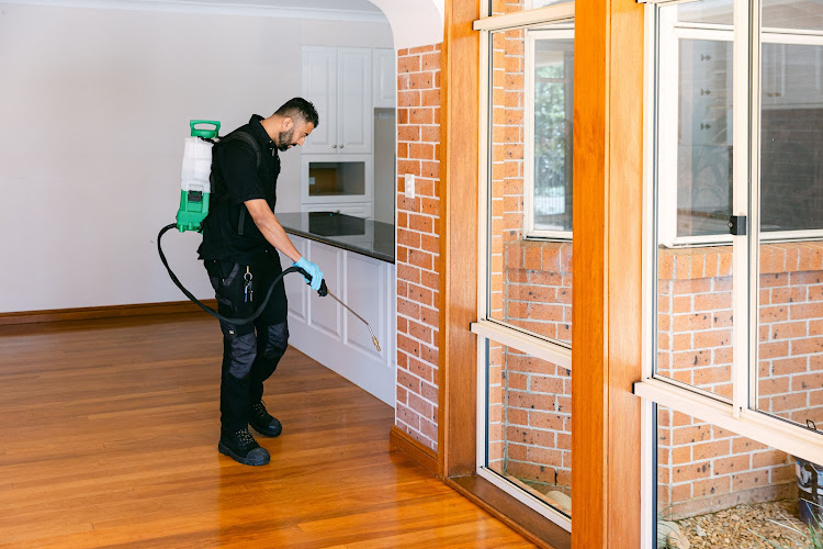 Safe Pest Control Sydney in Paddington