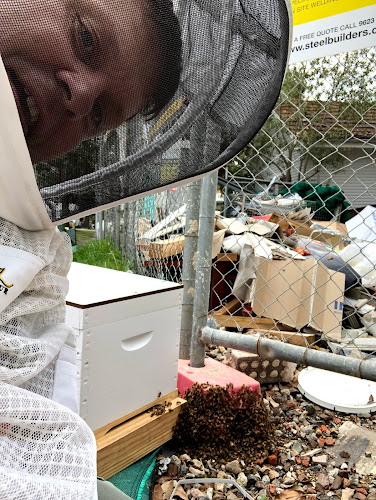 Safeguard Pest Management in Seven Hills