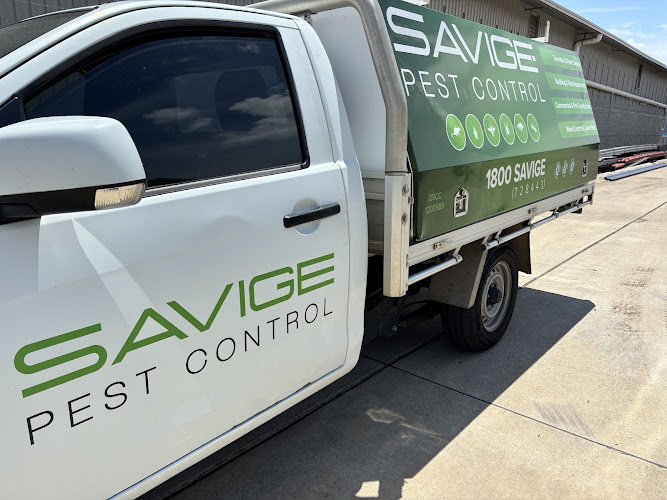 Savige Pest Control in Ipswich