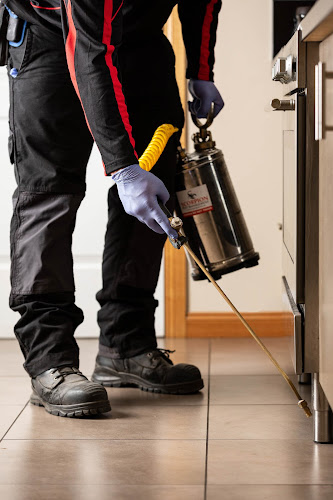 Scorpion Pest Management Pty Ltd in Hobart