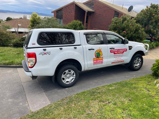 Scuttlebugg Pest Control in Blackmans Bay