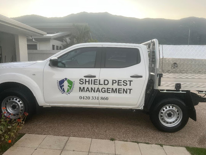 shield pest management ,cairns in Cairns