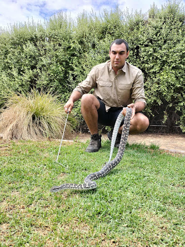 Snake Snatchers in Bendigo