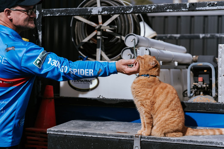 Spiderman SE Eco Pest Management in Mount Gambier