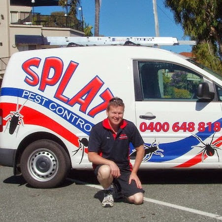 Splat Pest Control and termite Inspections Gold Coast in Hobart