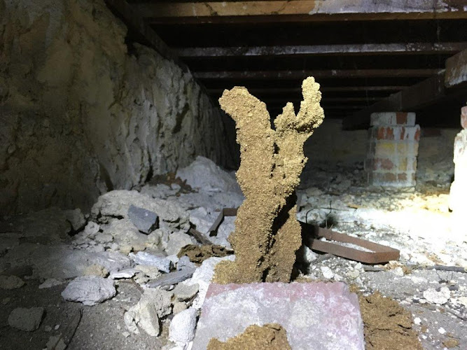 Stewarts Pest Control in Greenmount