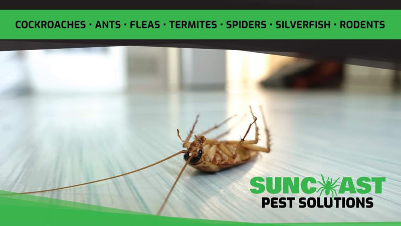 Suncoast Pest Solutions in Little Mountain