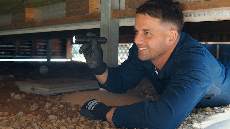 Sunny Coast Pest Control in Sunshine Coast