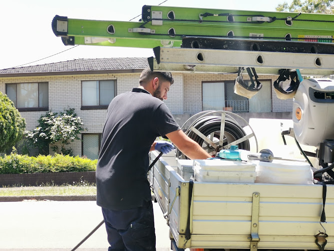 Sydney Wide Pest Solutions in Canterbury