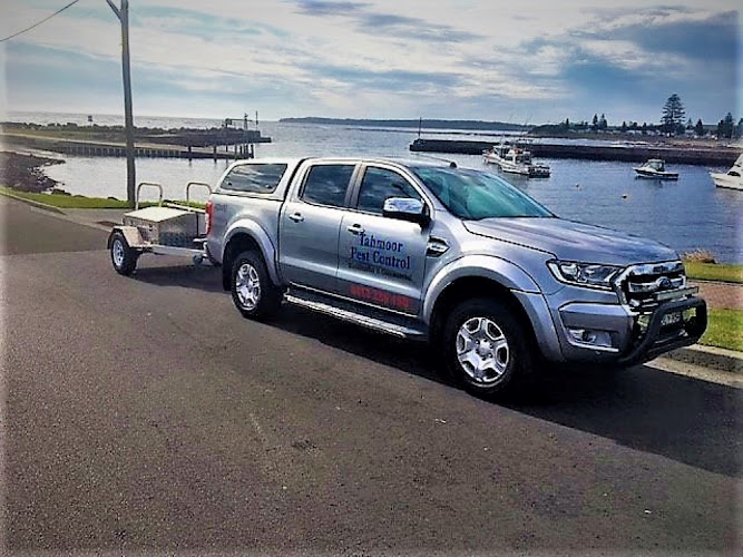 Tahmoor Pest Control Services in Bargo