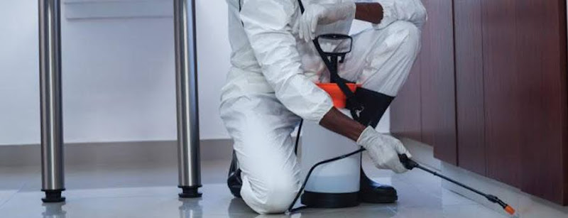 T.E.A.M Pest Control in Wollongong