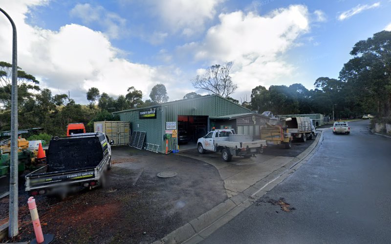 Termite Watch in Lorne