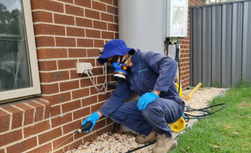 TermiteFree pest control in Edmondson Park