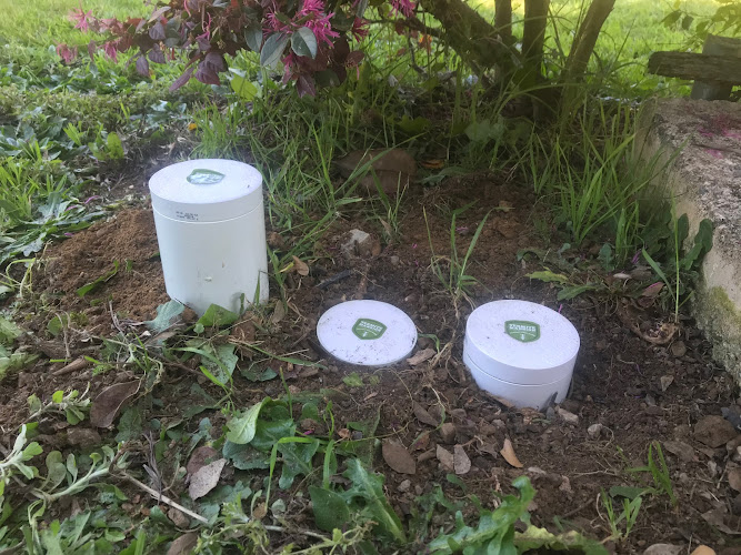 TermiteMansion in Freshwater