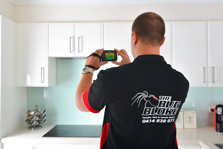 The Bug Bloke in Rouse Hill