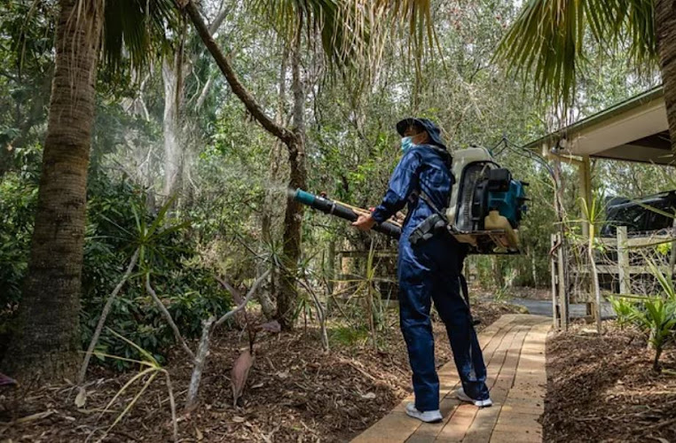 The Pest Masters in Gawler