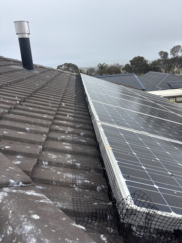 The SZZN Group in Fulham Gardens