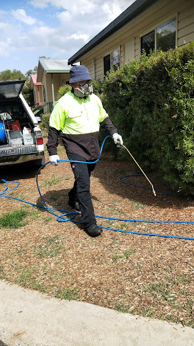 Three Angels Pest Control in Green Valley