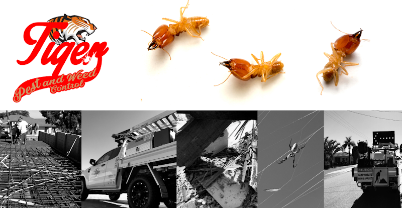 Tiger Pest and Weed Control in Balcatta