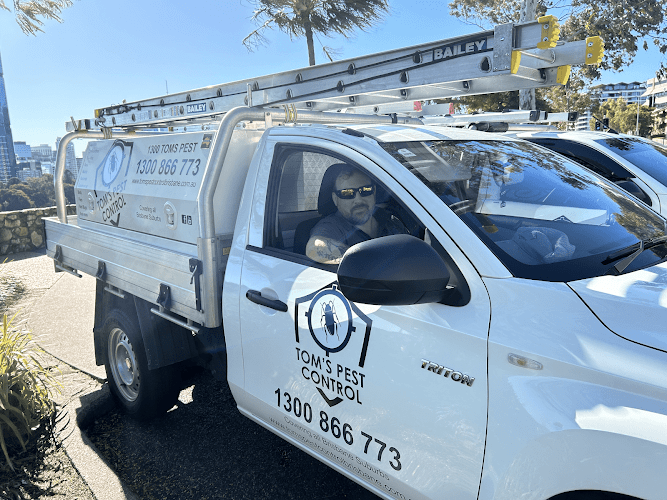 Tom's Pest Control Brisbane in Wagga Wagga