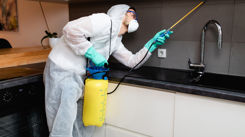 Total pest control in Selby