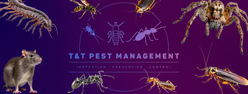 T&T Pest Management in Park Avenue