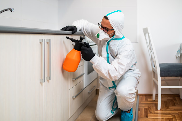 Vigilant Pest Control in Loganlea