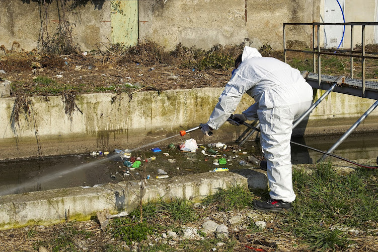 Vision Geelong Pest Control in Geelong