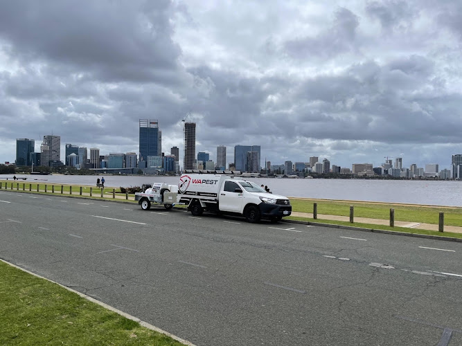 WA Pest Consultants in Ellenbrook