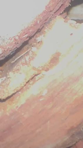 WA Pest Managers in Piara Waters