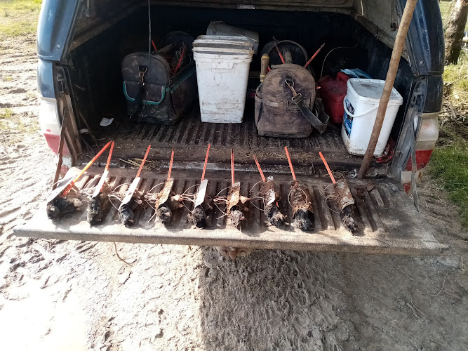 West Wales Pest Services in Geraldton