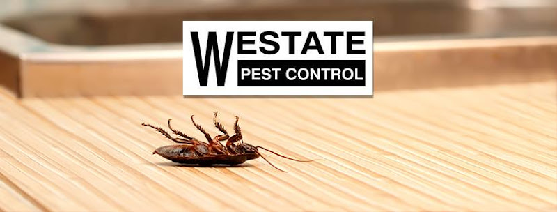 Westate Pest Control in Malaga