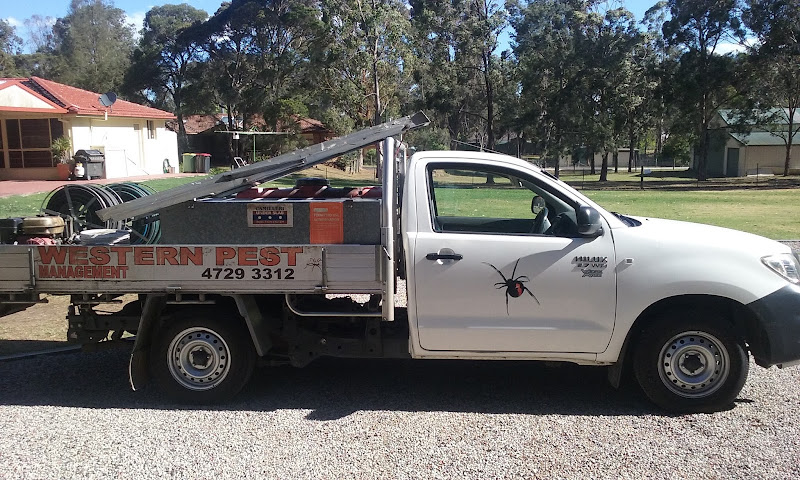 Western Pest Management in Cranebrook