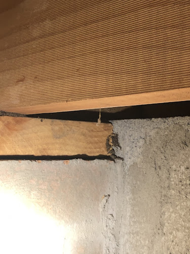 Xtermin8er Termite and Pest Control in Ellen Grove