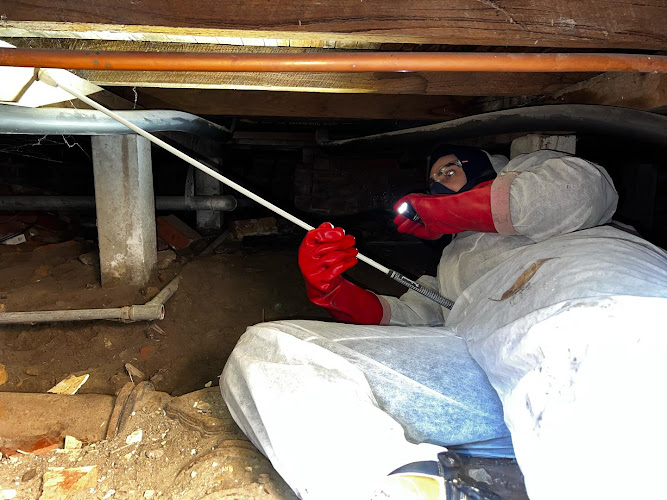 Zap It Pest Control Werribee in Geelong